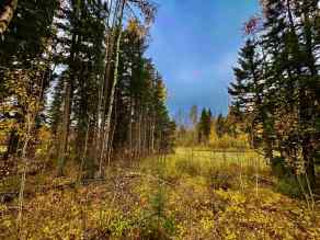 Residential Land Rural Clearwater County homes