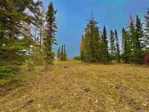 Residential Land Rural Clearwater County homes