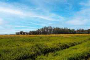 Residential Land Rural Rocky View County homes
