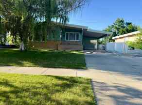 Detached Park Meadows homes