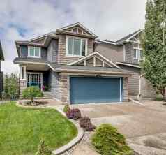 Detached Ravenswood homes