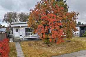 Full Duplex Dalhousie homes