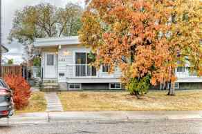 Semi Detached (Half Duplex) Dalhousie homes