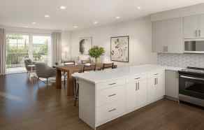 Row/Townhouse  homes