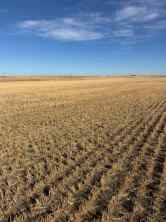 Commercial Land Barons homes