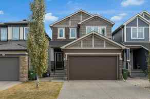 Detached Evanston Ridge homes