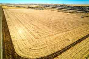 Agriculture Carbon homes