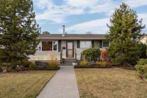 Detached Edmonton homes