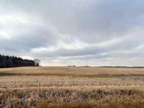 Residential Land Rural Camrose County homes