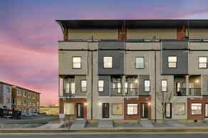 Row/Townhouse Greystone homes