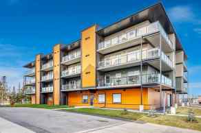 Apartment Diamond Valley homes