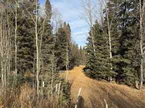 Recreational Rural Clearwater County homes