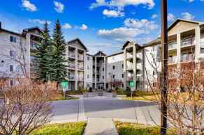 Apartment Red Carpet/Mountview homes
