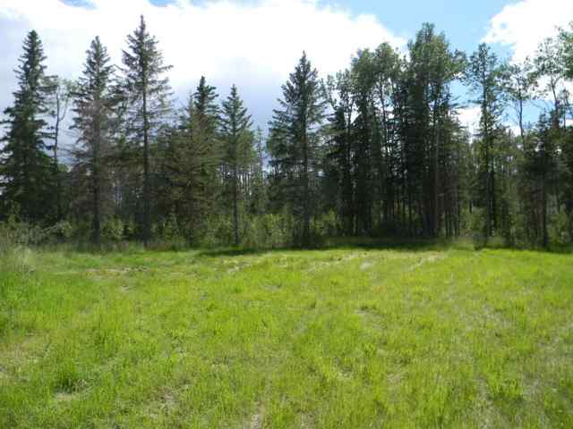 115 Meadow Ponds Drive  in  Rural Clearwater County MLS® #A1020971