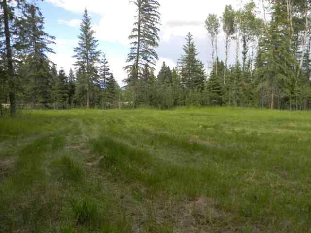 119 Meadow Ponds Drive  in  Rural Clearwater County MLS® #A1021029