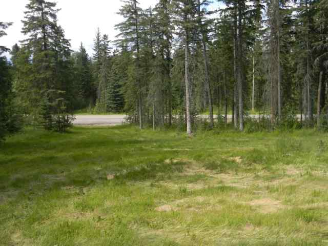 127 Meadow Ponds Drive  in  Rural Clearwater County MLS® #A1021050