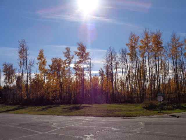 NONE real estate 1 Boreal Crescent  in NONE High Level