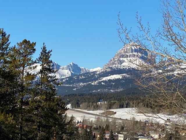 15 Avenue Rural Crowsnest Pass Ab T0k 0e0 Mls A1058903