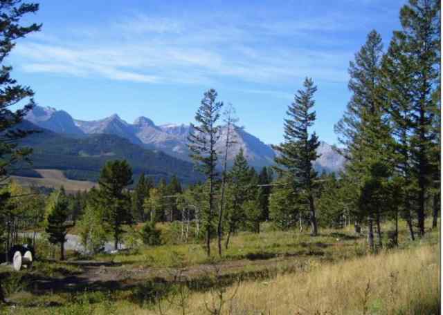 Rural Crowsnest Pass Real Estate Rural Crowsnest Pass Rural Crowsnest Pass Homes For Sale