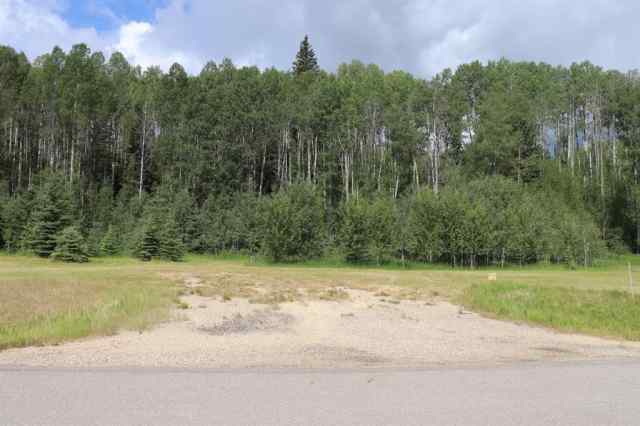 Just listed NONE homes for sale new Unit-24-165111 Township Road 532A Subdivision  in NONE Rural Yellowhead County