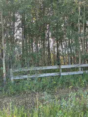 NONE real estate  Chinook Valley Road   in NONE Rural Northern Lights, County of