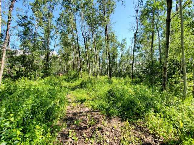 NONE real estate Lot 4 Campsite Road   in NONE Plamondon