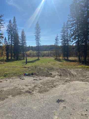 Diamond Willow Estates real estate 305 Valley View Drive  in Diamond Willow Estates Rural Clearwater County
