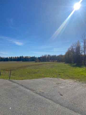 Diamond Willow Estates real estate 421 Valley View Close  in Diamond Willow Estates Rural Clearwater County