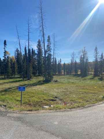 Diamond Willow Estates real estate 405 Valley View Close  in Diamond Willow Estates Rural Clearwater County
