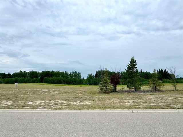 Taylor Estates real estate 7935 Creekside Drive  in Taylor Estates Rural Grande Prairie No. 1, County of