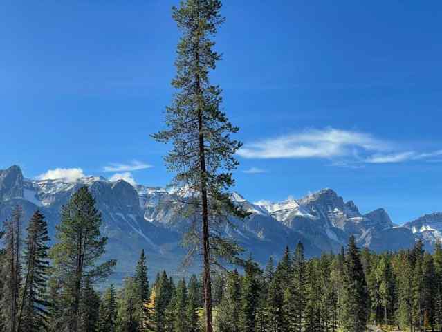 Silvertip real estate 404 Mountain Tranquility Place  in Silvertip Canmore