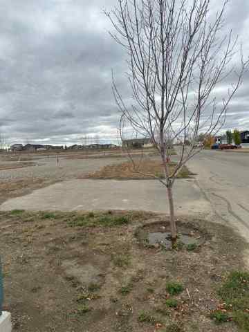 NONE real estate 4003 Seasons Boulevard  in NONE Coaldale