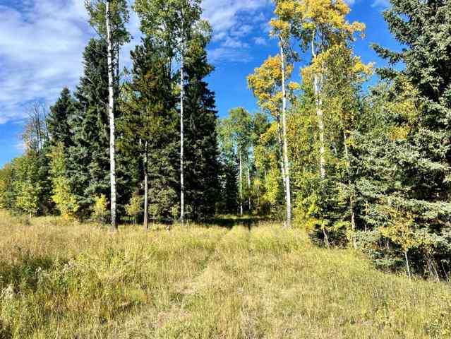 Ridgeland Estates real estate 5 Ridgeland Road  in Ridgeland Estates Rural Clearwater County