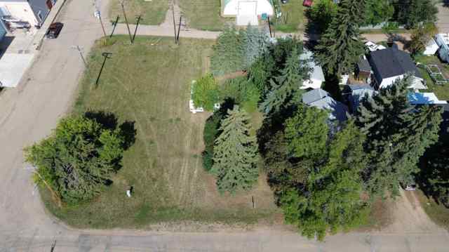 Bashaw real estate 4604 49th Street   in Bashaw Bashaw