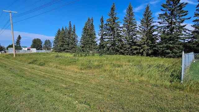 NONE real estate 716 Main Avenue W in NONE Sundre