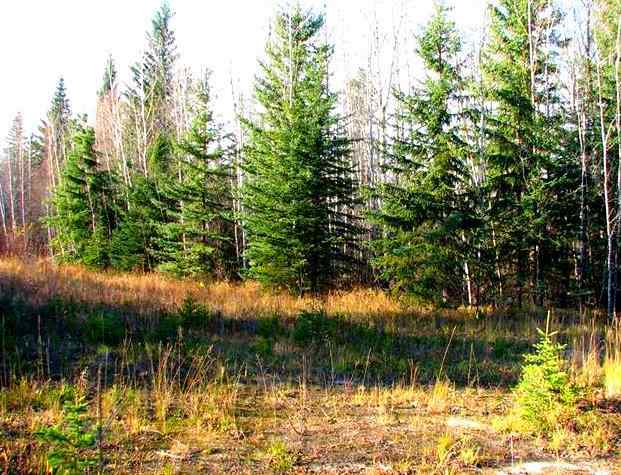 Lac La Biche real estate Lot 4 Old Mission Road   in Lac La Biche Lac La Biche