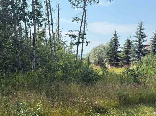 Just listed  homes for sale new 520 Diamond Willow Drive  in  Lac Des Iles