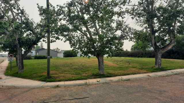 NONE real estate 114 Railway Avenue S in NONE Morrin