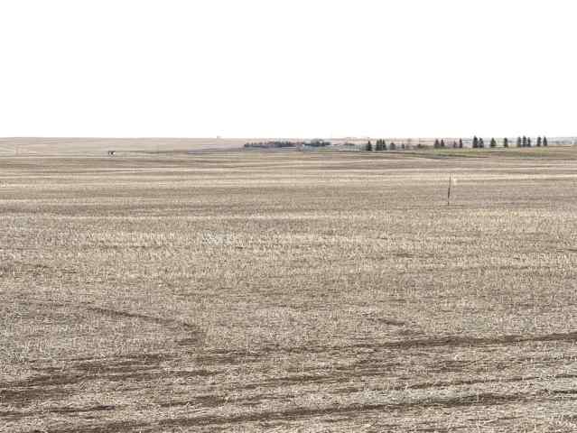 NONE real estate  466 Ave E.   in NONE Rural Vulcan County