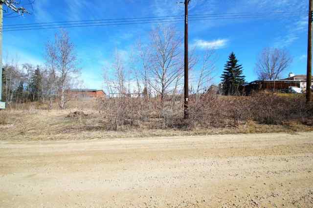 Downtown real estate 4906 south   in Downtown Blackfalds