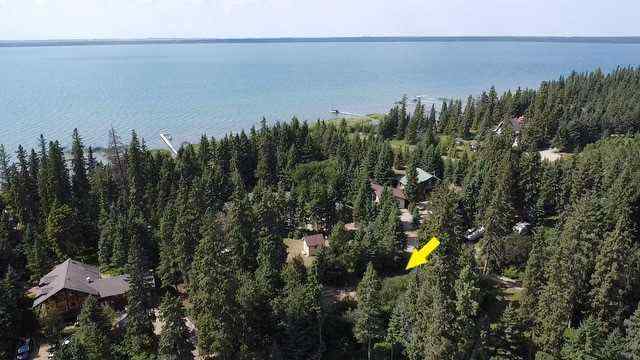 NONE real estate 606 Pine Place   in NONE Brightsand Lake