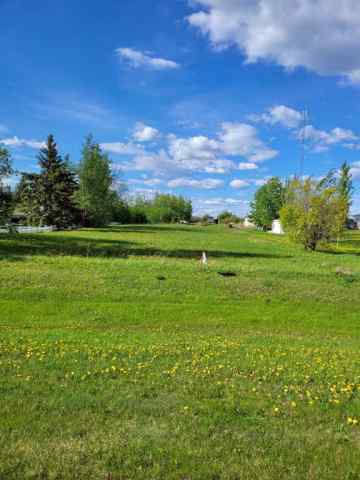 NONE real estate 10302 100 Avenue  in NONE Bezanson