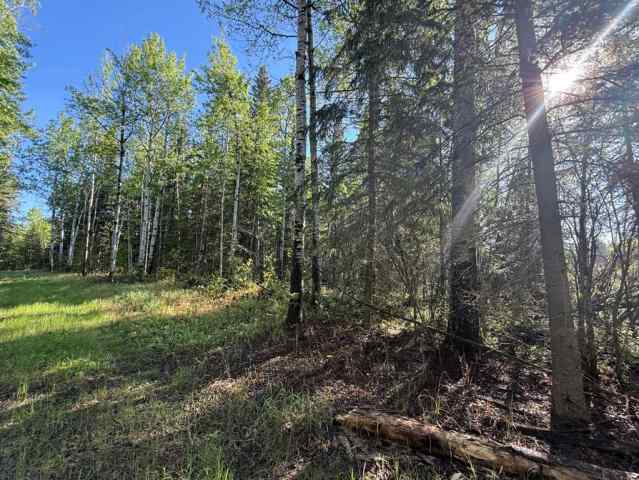 Perryvale real estate Township road 640   in Perryvale Perryvale
