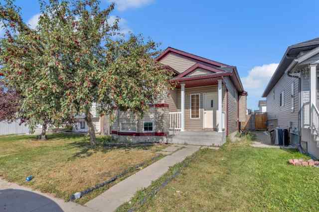Martindale real estate 231 Martinvalley Crescent NE in Martindale Calgary