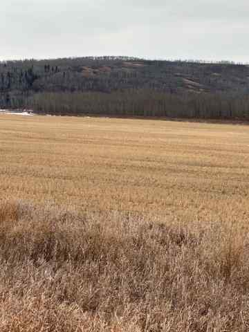 NONE real estate 3-1-2121458 242A Range  in NONE Rural Birch Hills County