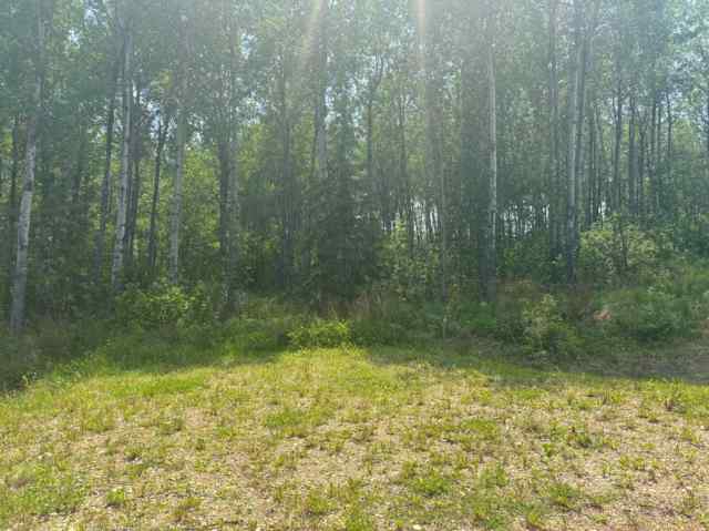 NONE real estate #6, 660023 Range Road 224   in NONE Rural Athabasca County