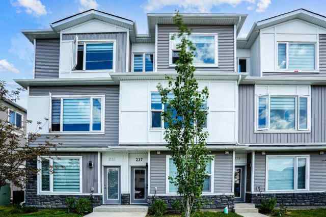 Saddle Ridge real estate 237 Saddlepeace Crescent NE in Saddle Ridge Calgary