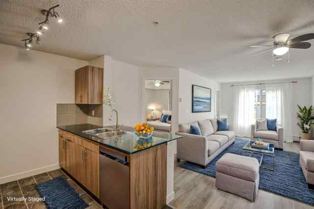 Albert Park/Radisson Heights real estate 1211, 1317 27 Street SE in Albert Park/Radisson Heights Calgary