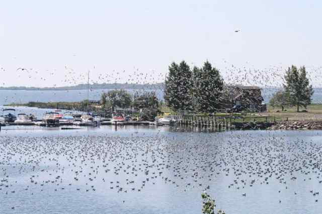 NONE real estate 95 white pelican View  in NONE Lake Newell Resort