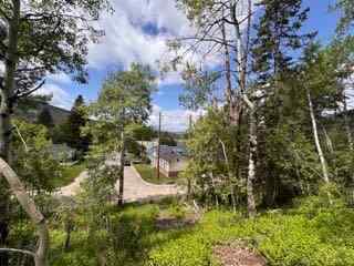 NONE real estate 1539 134 Street  in NONE Blairmore